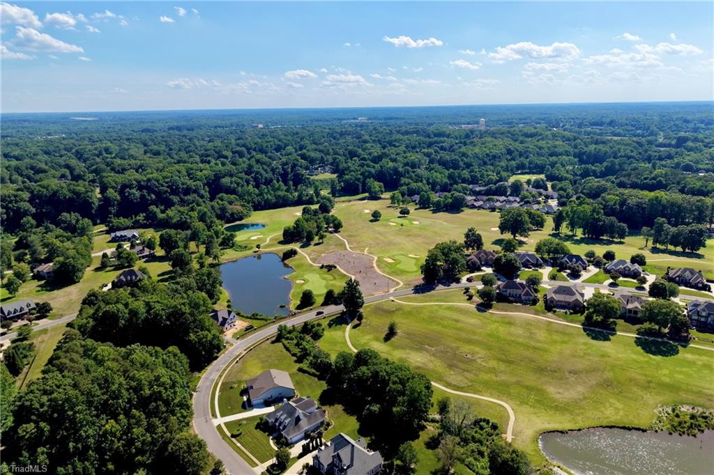 619 Laurel Valley Way Property Photo 43