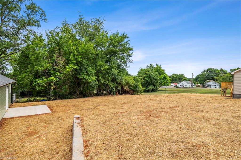 1318 Delaware Avenue Property Photo 29