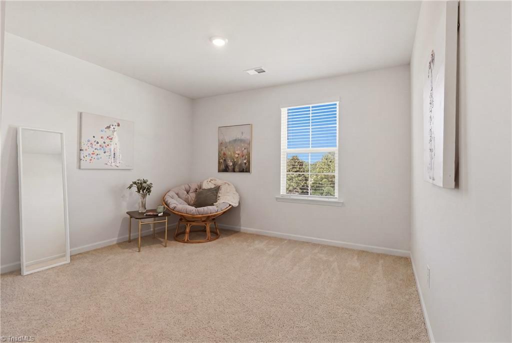 4611 Reedy Creek Farm Circle Property Photo 16