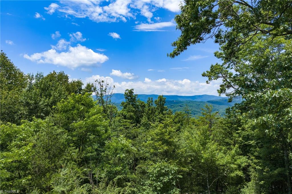 1987 Buck Mountain Road Property Photo 15