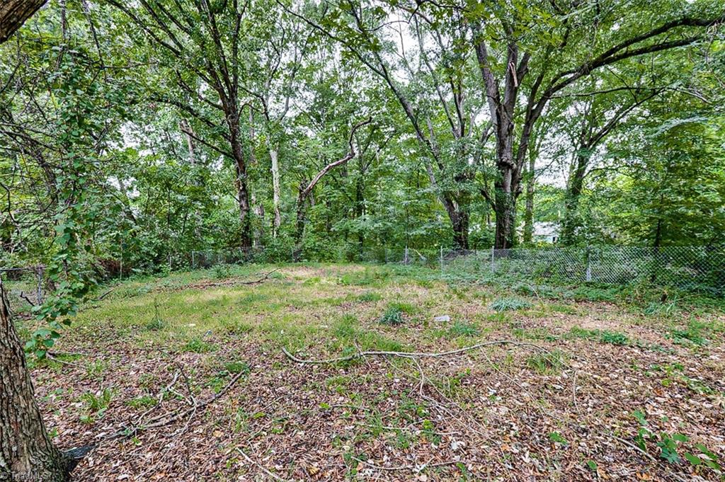 307 Winston Street Property Photo 33