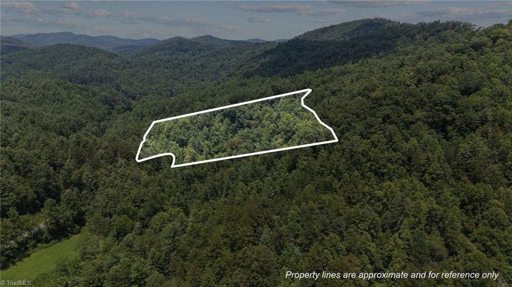 1296 Sheets Gap Road Property Photo 3