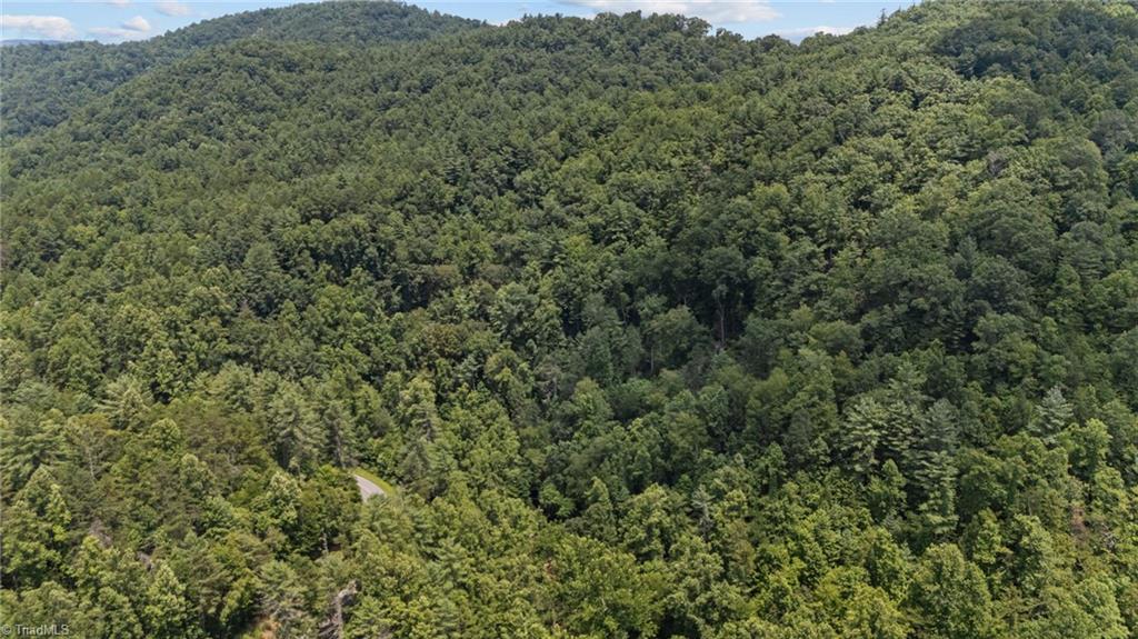 1296 Sheets Gap Road Property Photo 4