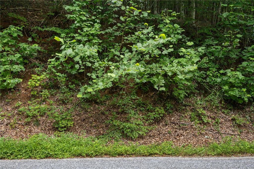 1296 Sheets Gap Road Property Photo 7