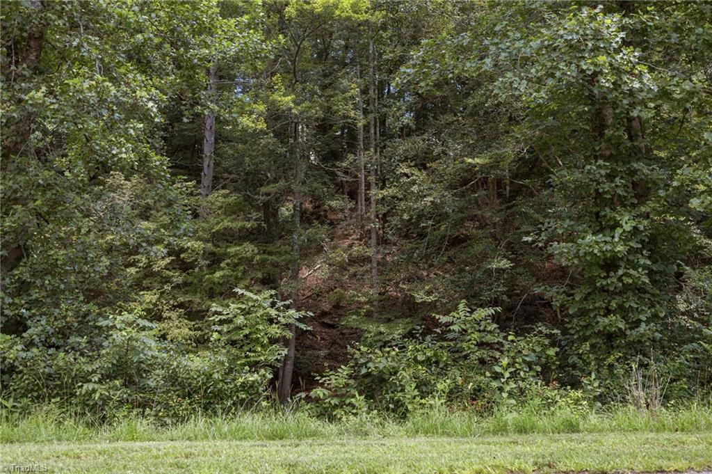 1296 Sheets Gap Road Property Photo 8