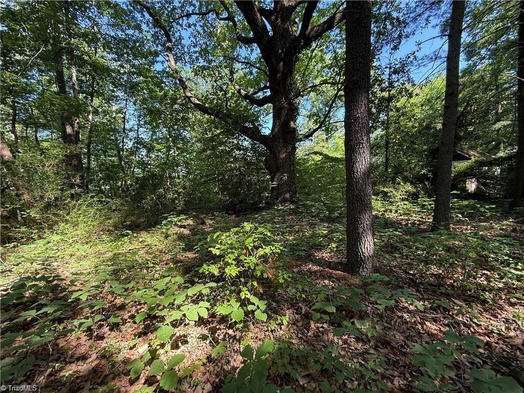 607 Kirby Road Property Photo 9