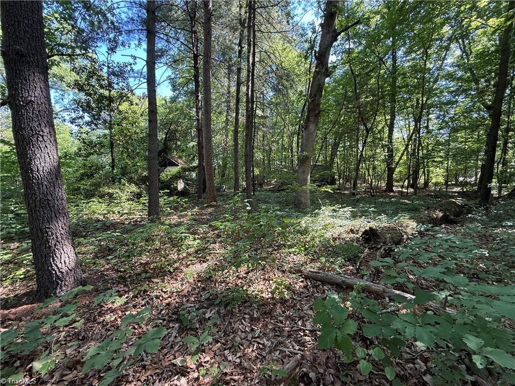 607 Kirby Road Property Photo 10