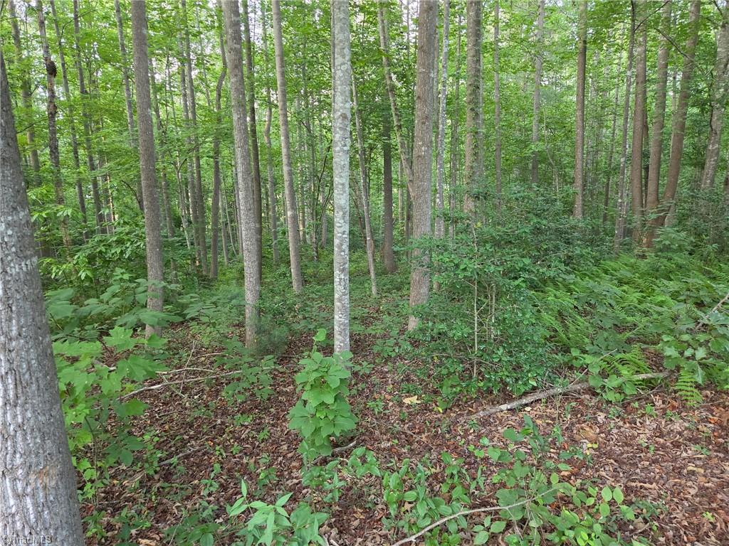 Tbd W Meadow Parkway Property Photo 4