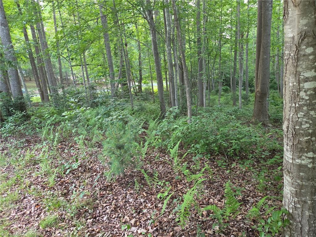 Tbd W Meadow Parkway Property Photo 6