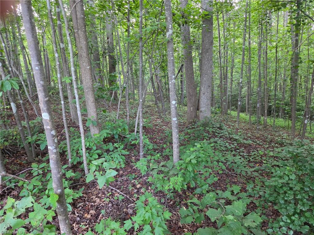 Tbd W Meadow Parkway Property Photo 10