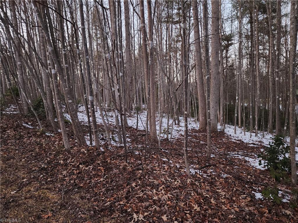 Tbd W Meadow Parkway Property Photo 18