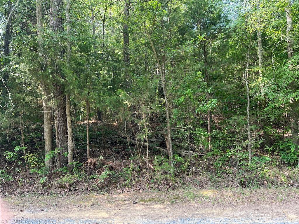 0 Silver Maple Road Property Photo 2