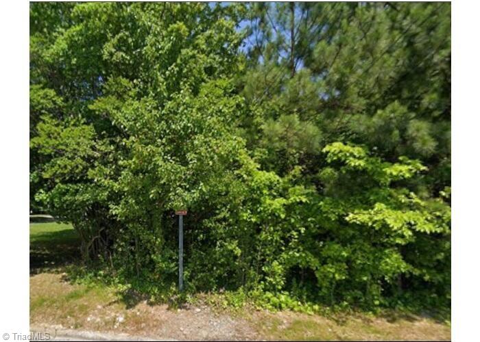 2013 Cedar Fork Drive Property Photo 6