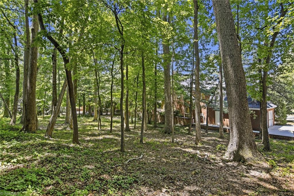 107 Staunton Drive Property Photo 39