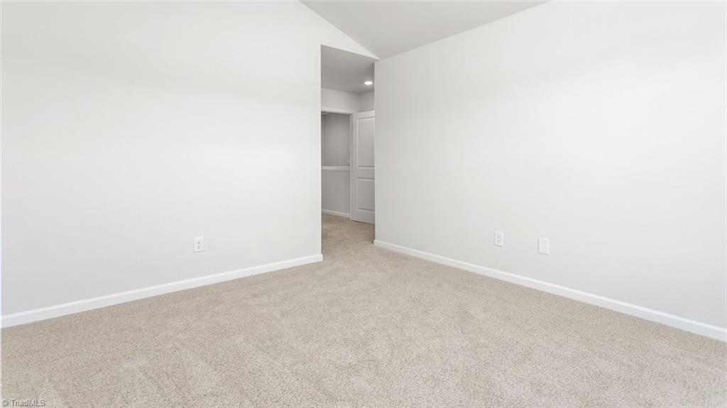 4097 Big Alamance Run Property Photo 13