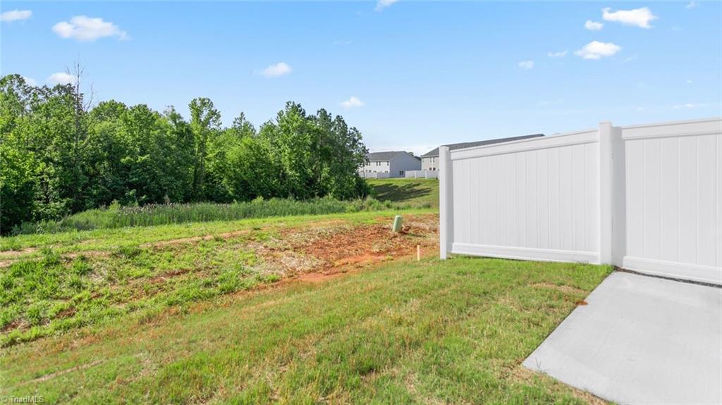 4103 Big Alamance Run Property Photo 22