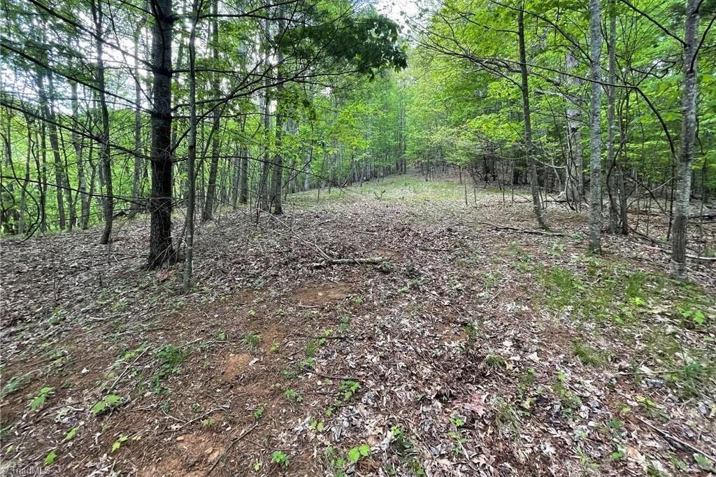 Tbd Edwin Blevins Road Property Photo 1