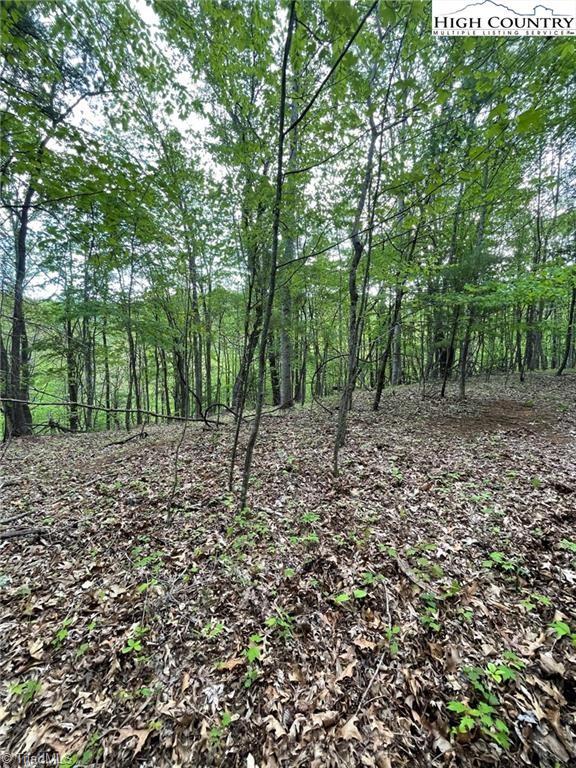 Tbd Edwin Blevins Road Property Photo 2