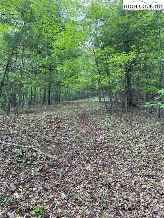 Tbd Edwin Blevins Road Property Photo 3