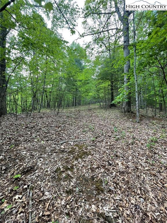 Tbd Edwin Blevins Road Property Photo 11