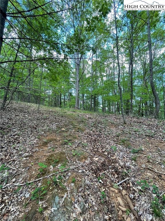 Tbd Edwin Blevins Road Property Photo 12