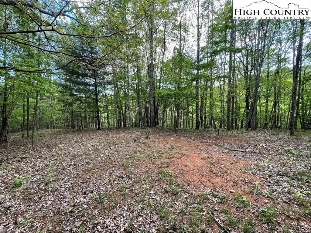 Tbd Edwin Blevins Road Property Photo 13
