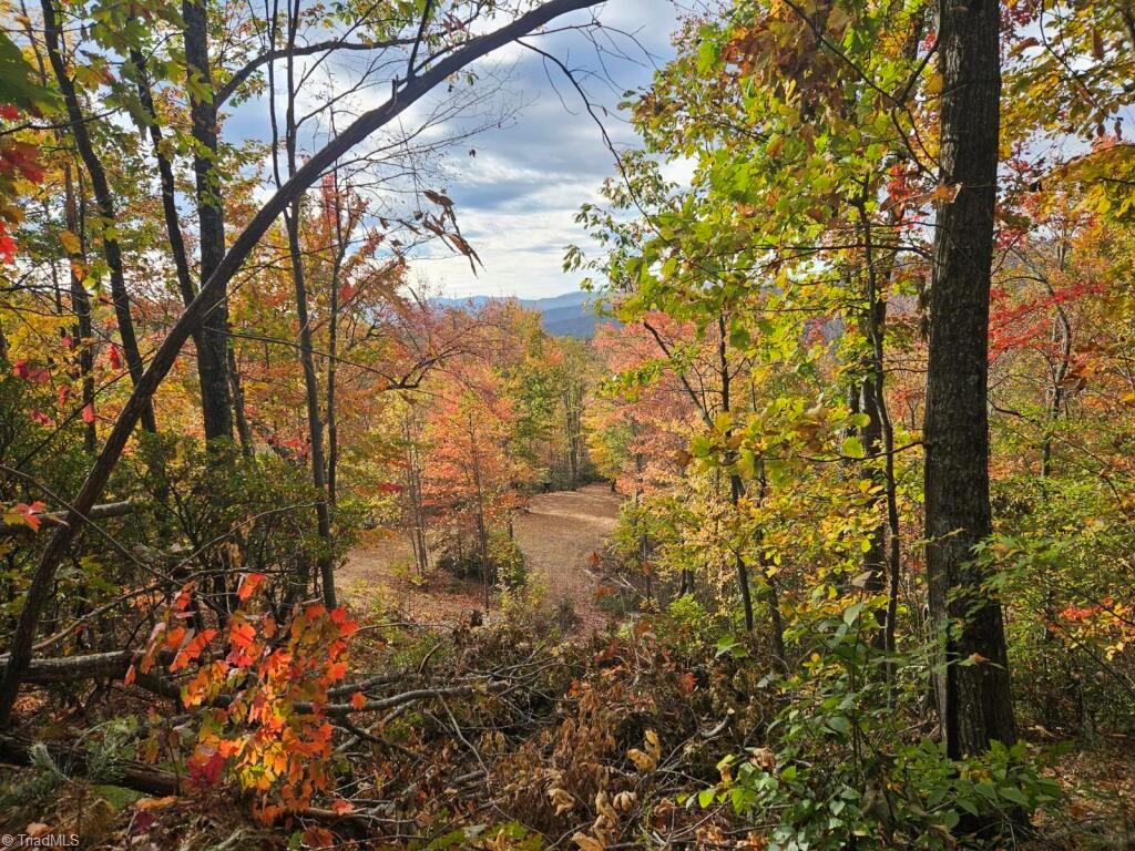 0 Shell Creek Road Property Photo 1