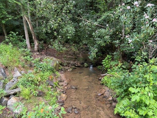 0 Shell Creek Road Property Photo 2