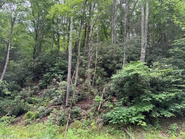 0 Shell Creek Road Property Photo 9
