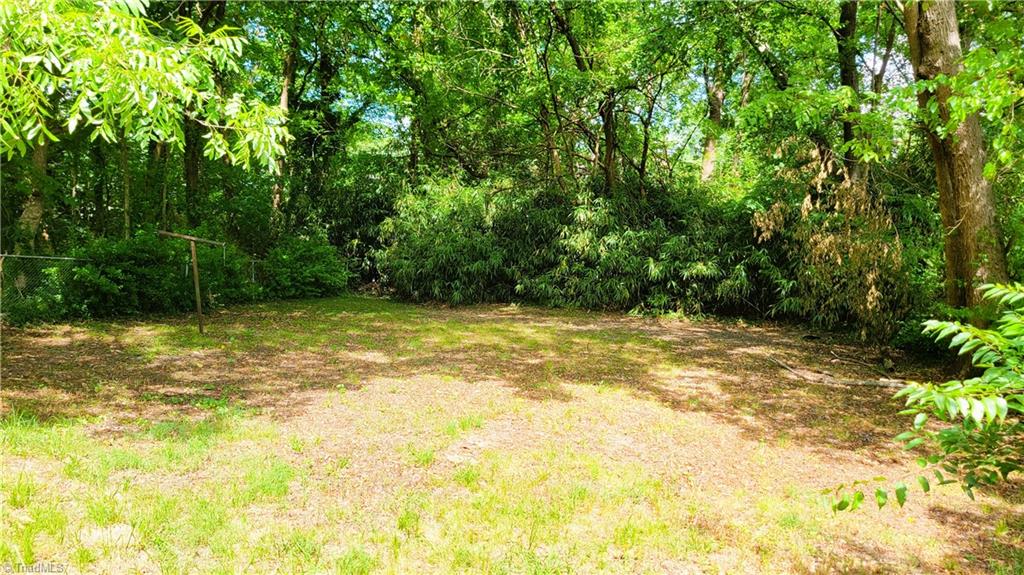 1009 Logan Street Property Photo 30