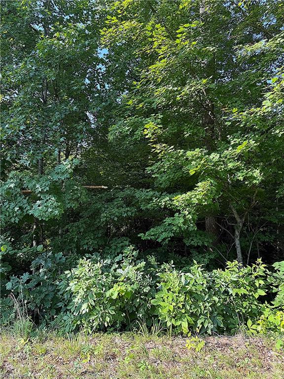 00 Us Highway 64 W Property Photo 2