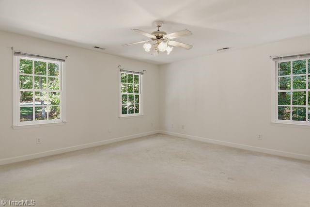 4413 Bashavia Drive Property Photo 19