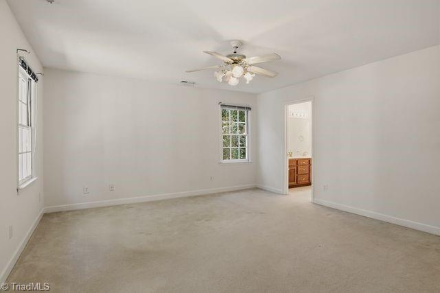 4413 Bashavia Drive Property Photo 21