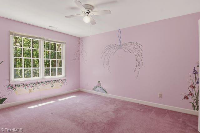 4413 Bashavia Drive Property Photo 24