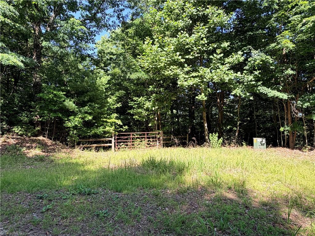 Lots 171 & 172B Blue Rock Road Property Photo 1