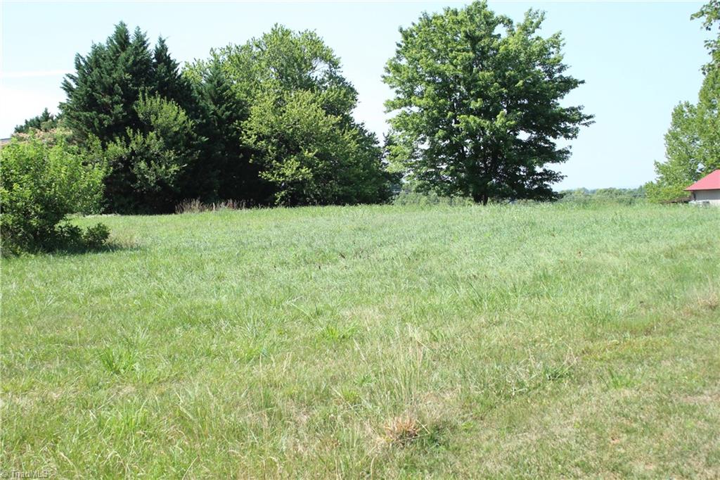 1085 Old Highway 21 Property Photo 1