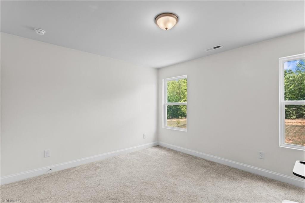 114 Laced Maple Court Property Photo 26
