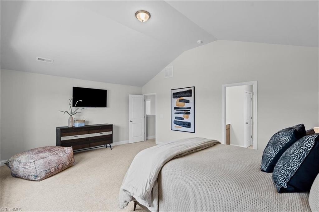 114 Laced Maple Court Property Photo 30