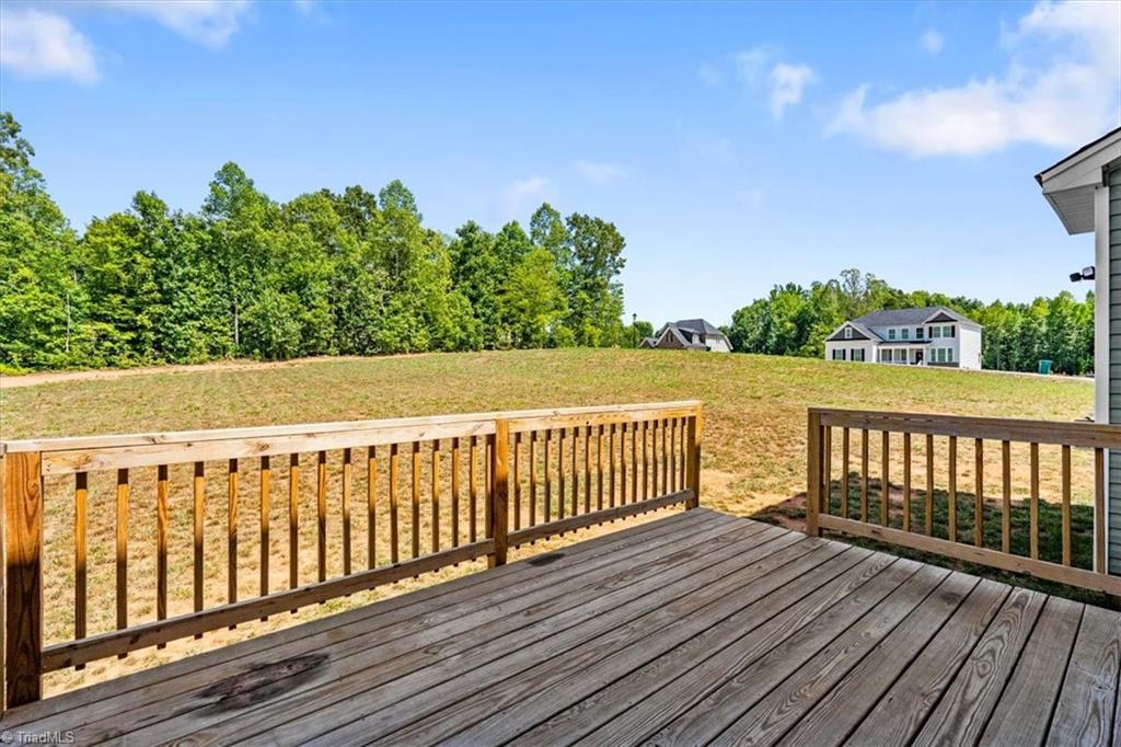 114 Laced Maple Court Property Photo 38