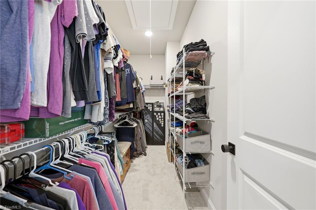 278 Vine Ridge Drive Property Photo 25