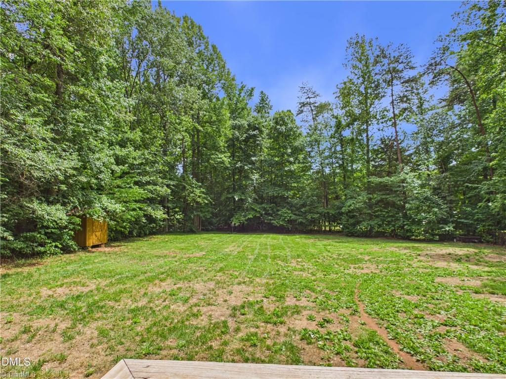 200 Dandelion Drive Property Photo 32