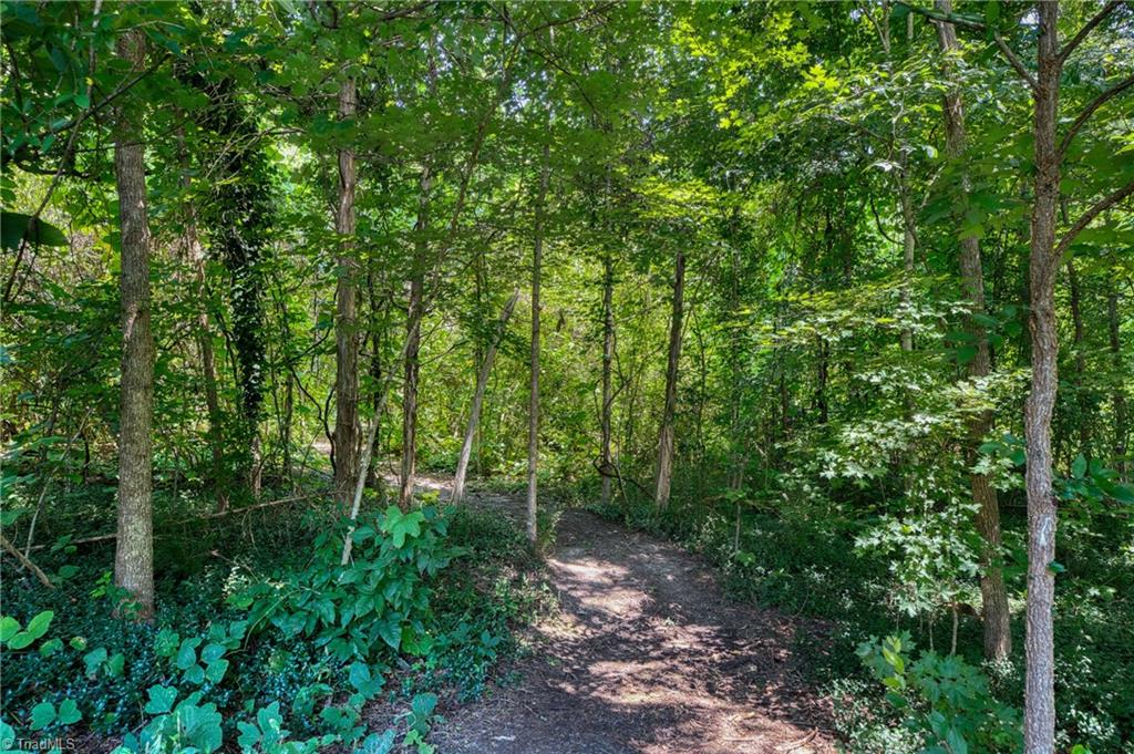 3152 S Nc Highway 87 Property Photo 37
