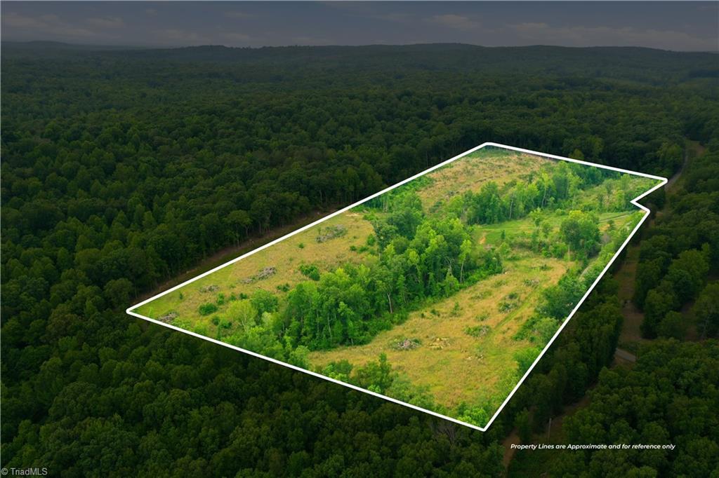 00 Cane Creek Road Property Photo 1