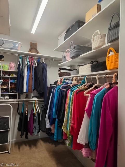 2409 Waterwheel Drive Property Photo 14