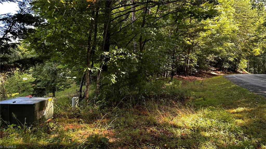 00a Higgins Road Property Photo 3