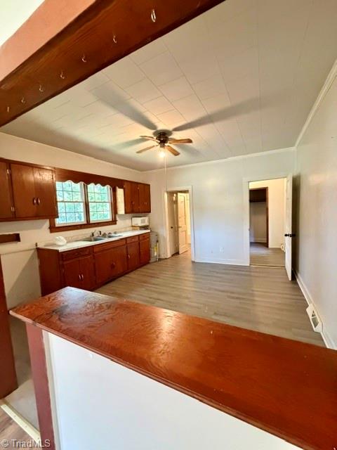 217 Carroll Street Property Photo 9
