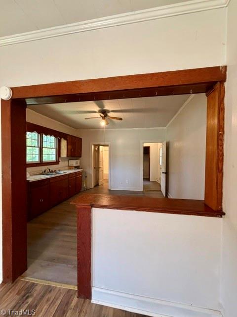 217 Carroll Street Property Photo 10