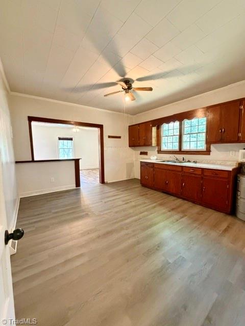 217 Carroll Street Property Photo 11
