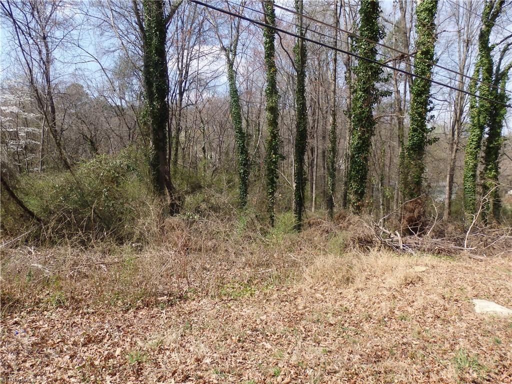 0 Chestnut Street Property Photo 2
