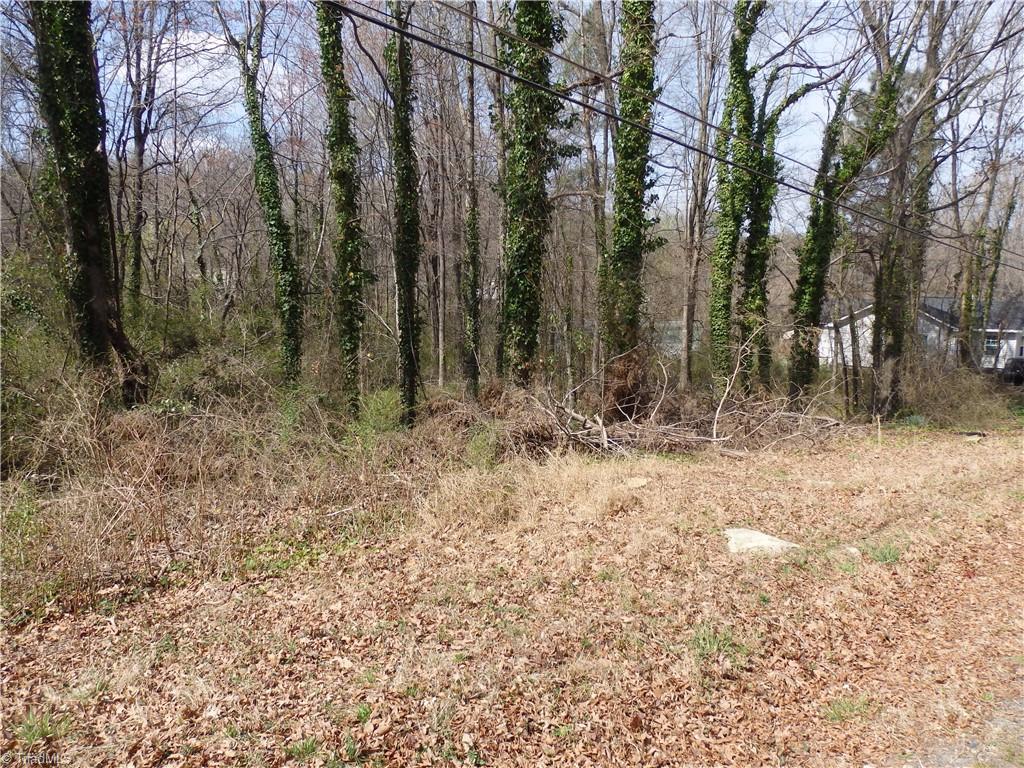 0 Chestnut Street Property Photo 3
